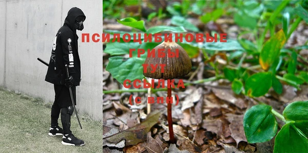 синтетический гашиш Белокуриха